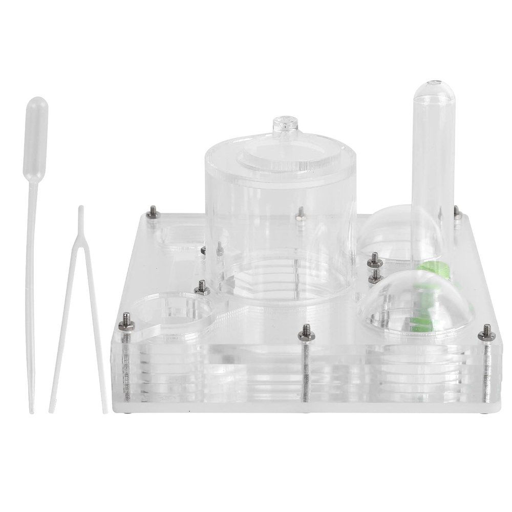 Acrylic Antt Breeding Box, Transparent Watching Feeding Case, Nests Glass Nests Tube Farm Experiment, Antts House Toy for Children