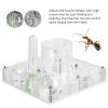 Acrylic Antt Breeding Box, Transparent Watching Feeding Case, Nests Glass Nests Tube Farm Experiment, Antts House Toy for Children view 4
