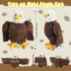 4 Pcs Bald Eagle Stuffed Animal Plush Bulk Large Mommy Eagle Plush with 3 Cute Babies Stuffed Eagle Plush Toys Plushies for Kids Boys Girls Birthday Valentines Plush Easter Stuffers Birders Zoo Gifts view 2