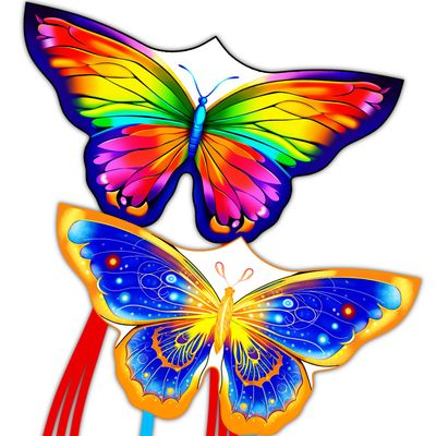 2 Pack Kites for Kids - Small Butterfly Kite for Ages 8-12 Easy to Fly Durable Beach & Park Kites for Outdoor Activities, Fun Festival Gifts for Boys & Girls