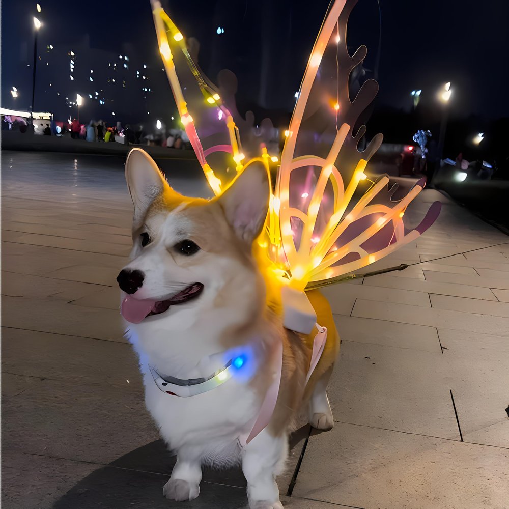 1pcs Butterfly Wings with Music and Lights Suitable for Girls Halloween Princess Costumes Glowing Angel Wings Backpack for Large Dogs Princess Toys Suitable for Kids Ages 3-6 5-7 Birthday Christmas