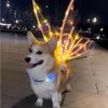 1pcs Butterfly Wings with Music and Lights Suitable for Girls Halloween Princess Costumes Glowing Angel Wings Backpack for Large Dogs Princess Toys Suitable for Kids Ages 3-6 5-7 Birthday Christmas view 1