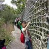 Climbing Cargo Net Colorful Safety Protective Nets Adults, Polyamide Playground Net, Plant Support Netting, Childrens Climbing Equipment, Garden Outdoor Obstacles Activities,(2*2m(6.6*6.6ft)) view 2
