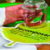 Clear Plastic See-Through Bug Jars - 3" (Pack of 10) - Ideal for Kids' Science Projects & Educational Activities view 4