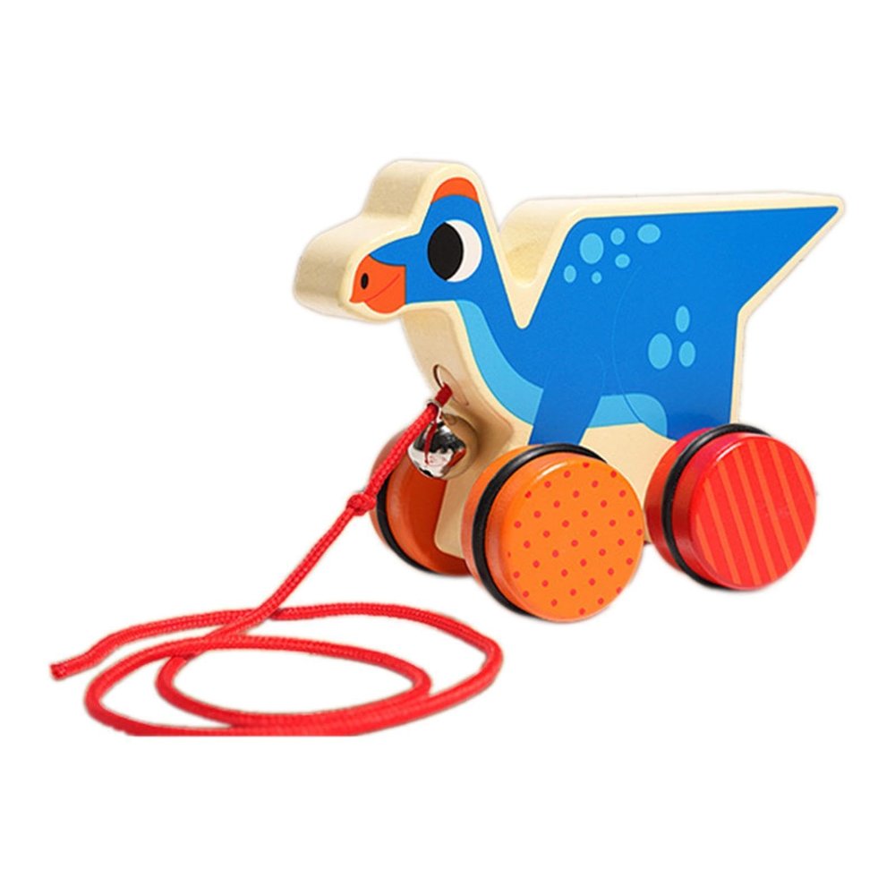 Amagogo Pull Along Toy with String Animal Push and Pull Along Toy Fine Motor Skills Walking Wooden Toy for 1 Year Olds Gifts, Pterosaur