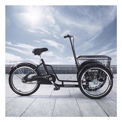 Etlegor Reverse Riding Tricycle, Tricycle with Cargo Basket Rickshaw Pedal Trike for Shopping Exercise Walking Elderly People to Transport Children