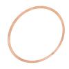 274000511 Metal Sealing Ring Gasket Enhance Performance High Strength XP LRV RX 3D LE view 2