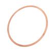 274000511 Metal Sealing Ring Gasket Enhance Performance High Strength XP LRV RX 3D LE view 3