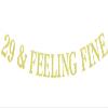 29 & Feeling Fine Banner, Not 30 Yet, Cheers to 29 Years, Rip My Youth, Happy 29th Birthday Party Decorations Gold Glitter view 1
