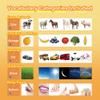 ALSOLIFE 80 Nouns Flash Cards for Toddlers 2-3, Key Vocabulary Flashcards, Sturdy & Durable Realistic Picture Cards for Speech Therapy, Autism Flash Cards for ABA Therapy and Special Education view 2