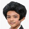 Witty Emporium Black Pompadour Wig with Sideburns Child Boys Kids Costume Hair 50s 60s Rocker Rock Roll Superstar Greaser Accessory Royal Rock Star Legend view 1