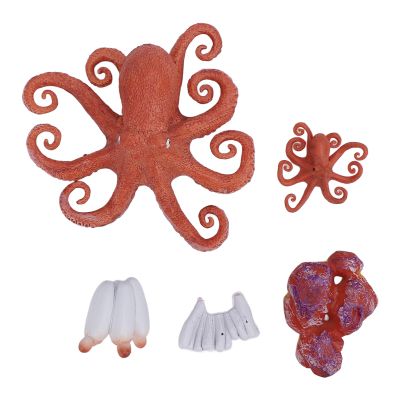 5Pcs Octopus Figurine Toy Educational Simulated Octopus Life Cycle Learning Toy Sea Animals Figurine Set for Home School