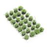 Levemolo Mini Flower Ornament Micro Landscape Flower Cluster Outdoor Artificial Plants Grass view 1