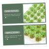 Levemolo Mini Flower Ornament Micro Landscape Flower Cluster Outdoor Artificial Plants Grass view 4