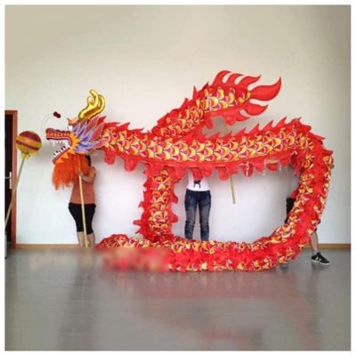MKYOKO Chinese Dragon Costume Chinese Lion Dance Costume Lion Dance Head New Year Show Halloween Parade Dragon Dance Props,B,17.4M/685in