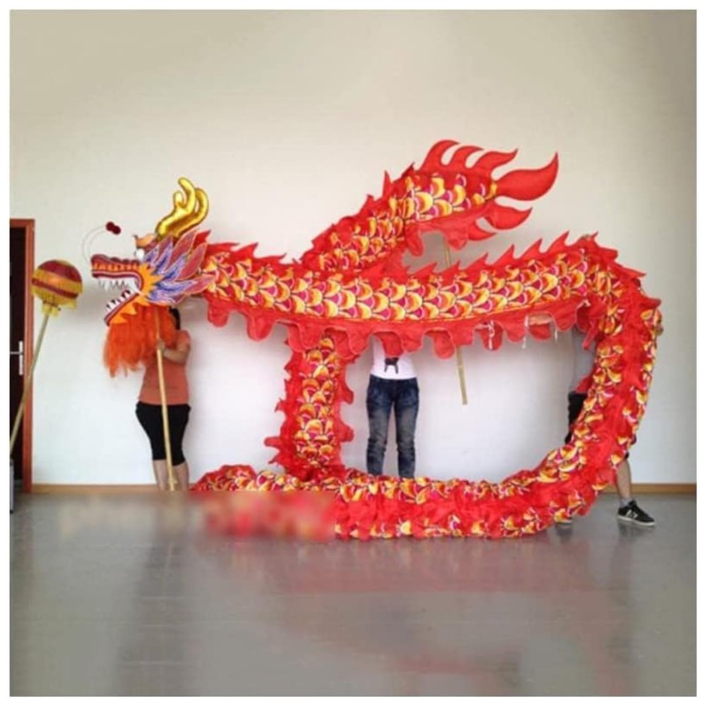 MKYOKO Chinese Dragon Costume Chinese Lion Dance Costume Lion Dance Head New Year Show Halloween Parade Dragon Dance Props,B,17.4M/685in