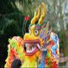 MKYOKO Chinese Dragon Costume Chinese Lion Dance Costume Lion Dance Head New Year Show Halloween Parade Dragon Dance Props,B,17.4M/685in view 3