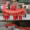 MKYOKO Chinese Dragon Costume Chinese Lion Dance Costume Lion Dance Head New Year Show Halloween Parade Dragon Dance Props,B,17.4M/685in view 4