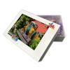 1000 Piece Adult Jigsaw Puzzle - Two Parrots on a Bench Detail Funny Life Puzzle Relaxation view 2