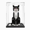 Acrylic Display Box for 21349 Tuxedo Cat Model, Assembled Dustproof Display Box,Storage Box (Display Box Only) (2mm) view 1