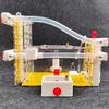 3D Ant Farm,DIY Ants Farms Kit Acrylic Large Viewing Area Villa with Feeding and Rubbish Area Castle Ants Habitat Box Educational Science Learning Kits Home School Experiment GiftsRed view 2