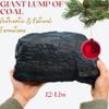 12lb Gigantic Lump of Coal  for Exceptionally Naughty People - Gift for Perpetual Pot Stirrers - Christmas Coal, Coal Holiday Joke for Christmas Parties, Secret Santa, White Elephant view 2