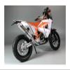 1/12 450 Rally Simulation Motorcycle Model Home Display Collection for:Die Cast Metal Gift Collection(B) view 2