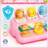 Duchong Toys for 1 Year Old Girls, Interactive Pop Up Toy with Music & Light, Montessori Learning Toys for Infant Baby Toddler 9-12-18 Months, First 1st Birthday Gifts for Girls Boys view 4