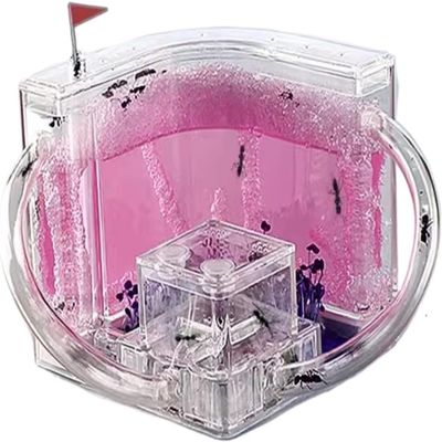 Ant Hill Ant Castle Ant Studio Habitat Ant Farm Education And Learning Science Ant Nest Farm For Learning Ant Farm For Adults,R