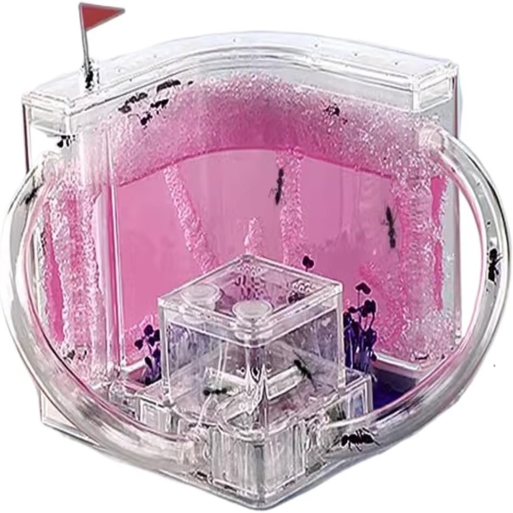 Ant Hill Ant Castle Ant Studio Habitat Ant Farm Education And Learning Science Ant Nest Farm For Learning Ant Farm For Adults,R