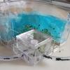 Ant Hill Ant Castle Ant Studio Habitat Ant Farm Education And Learning Science Ant Nest Farm For Learning Ant Farm For Adults,R view 3