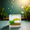 Yellow Goldfish Charm of A Mini Tank with This 1:12 Scale Miniature Square Fish Tank Realistic Glass Decor for Dollhouse Display Captivating Miniature for Crafts Ornaments Handmade Landscape view 2