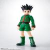 TAMASHII NATIONS - Hunter x Hunter - Gon S.H.Figuarts Action Figure view 2