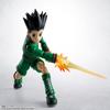 TAMASHII NATIONS - Hunter x Hunter - Gon S.H.Figuarts Action Figure view 4