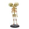 Abnormal fetal Skeleton of Infant Double-Headed Skeleton Model Used in Medical School Teaching view 1
