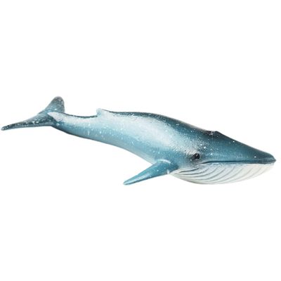 AENIMELY Realistic Blue Whale Figurine Sea Animal Whale Toy Ocean Marine Figurine Educational Animal Model for Birthday Gifts Party Favors Kids Toys