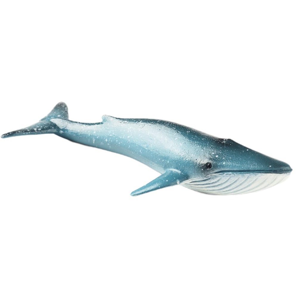 AENIMELY Realistic Blue Whale Figurine Sea Animal Whale Toy Ocean Marine Figurine Educational Animal Model for Birthday Gifts Party Favors Kids Toys