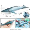 AENIMELY Realistic Blue Whale Figurine Sea Animal Whale Toy Ocean Marine Figurine Educational Animal Model for Birthday Gifts Party Favors Kids Toys view 3