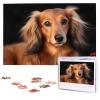 1000PCS Jigsaw Puzzle for Adults Personalized Picture Puzzle Long haired Dachshund Customized Wooden Puzzle for Family, Birthday, Wedding, Game Nights Gifts Animal Puzzle 29.5x19.7 inches view 1