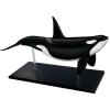 4D Whale Organ Anatomy Model,Animal Anatomy Organ Anatomy Medical Teaching Model Detachable 16 Organ Parts for Teaching Study Tools view 1