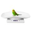 10kg 1g Digital Small Pet Weight Toddler Scale Infant Scale Measure Babies Pets Accurately for Cats Dogs Measure Tool Electronic Kitchen Scale, Pet Scale Digital, Dog Cat Scale view 3