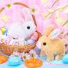 CatchCute Easter Plush Bunny Toys for Kids,Interactive Bunny with Sounds,Can Walk,Wag Tail and Twitch Nose with Remote Control Leash,Easter Eggs with Pull Back Cars,Easter Birthday Gift for Toddlers view 4