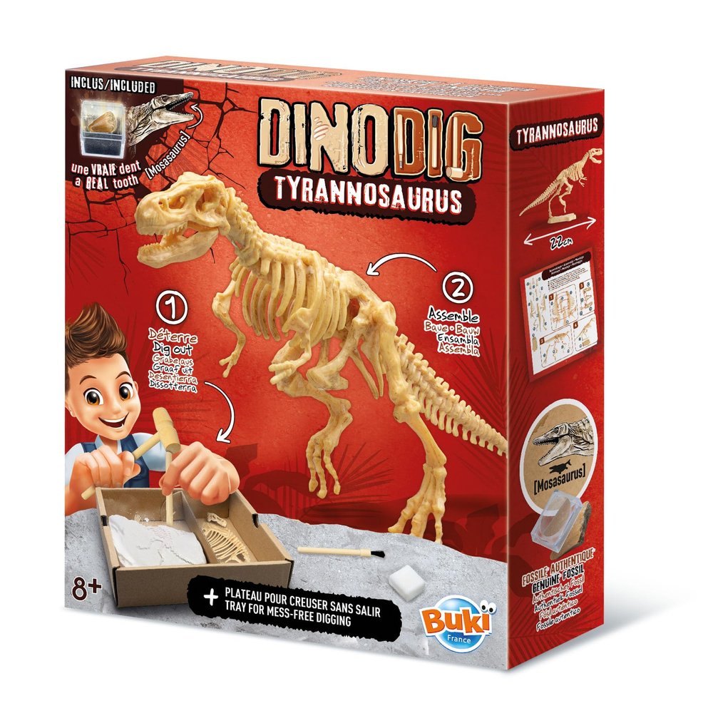 Buki - Dino dig-t-Rex-Dinosaur to dig-20 cm, 445TYR