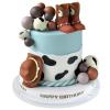 16PCS Cowboy Cake Topper Cowboy Hat and Boot Balls Cake Decorations Western Cowboy Birthday Baby Shower Party Decorations (Brown) view 1
