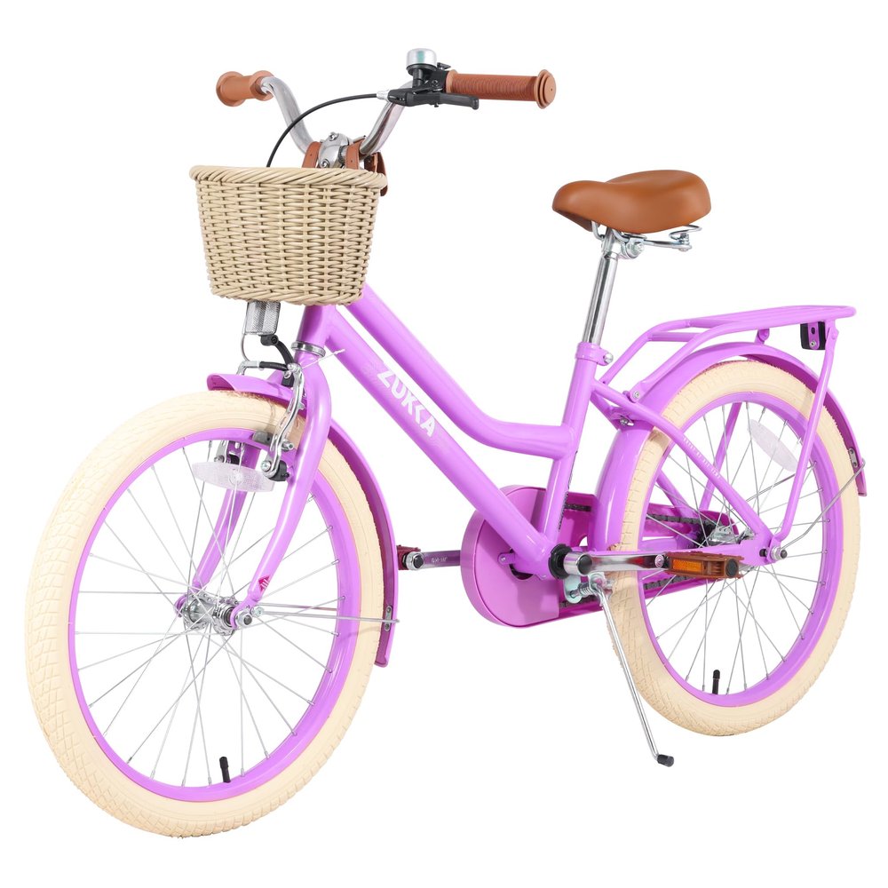 MEGHNA Cruiser Bike 20 inch Wheels Girls Women Bike Single Speed Commuter Bike with Basket V-Brake and Coast Brake Women Ladys Bicycle, Multicolors (Purple, 20 inch Wheel)