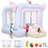 Whubefy Inflatable Bounce House for Kids, Dreamwing Bouncy Castle for Kids 8-12 Indoor & Backyard Fun, Toddler Inflatable Bouncer Jump Play House with Slide, Catch Ball Set, Punching Bag view 1