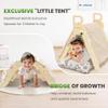 BlueWood Pikler Triangle Set with Cushion, 8-in-1 Climbing Toys for Toddlers, Montessori Philosophy Play Jungle Gym with Arch, Ramp, Ladder(Sunshine Rainbow) view 2