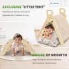 BlueWood Pikler Triangle Set with Cushion, 8-in-1 Climbing Toys for Toddlers, Montessori Philosophy Play Jungle Gym with Arch, Ramp, Ladder(Elegant Gray) view 2