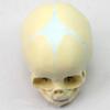 30 Weeks Infant Skull Anatomical Model Human Fetus Skull Anatomical Model Life Sized Realistic Replica of The Fetal Head Skeleton Model view 3