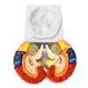 2 Parts Human Brain Anatomical Model Life-Size,Color-Coded Partitioned Brain,Anatomically Accurate Brain Model for Study Display Teaching Medical Model 20.5 * 17 * 15CM Skeleton Model view 2